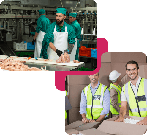 Features of P24 Jobs